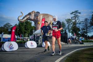 BIB: 
                            <button type="button" onclick="openModal(26541982)" class="btn btn-primary btn-sm float-right btn-popup" data-toggle="modal" data-target=".modal-high-quality">
                        <i class="fas fa-shopping-cart"></i> Add to Cart
                    </button>
                                            <button type="button" onclick="isThisMe(26541982, true)" class="btn btn-success btn-sm float-right btn-popup btn-isme hidden" data-toggle="tooltip" data-placement="bottom" title="นี่คือรูปของคุณใช่ไหม คลิกที่นี่เพื่อเอาเข้าอัลบั้ม">
                        <i class="fas fa-plus"></i> Add to album
                    </button>
                    <button type="button" onclick="isThisMe(26541982, false)" class="btn btn-warning btn-sm float-right btn-popup btn-isnotme hidden">
                        <i class="fas fa-ban"></i> Remove from album
                    </button>